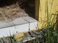 Будка для средней или большой собаки, фотография 5