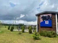 Питомник чихуахуа JudiTeilor