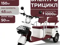 Трицикл GreenCamel Пони Z8 V2