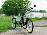 Электровелосипед AVM E-ALFA TRIKE 24, фотография 4