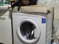 Мой  Котик пригласит Невесту на Вязку, фотография 3