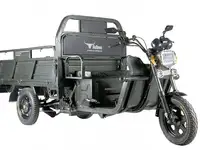 Грузовой электротрицикл rutrike d4 1800 60v1200w, фотография 12