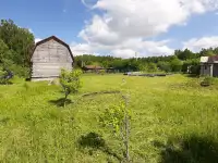 Дача, Участок 10соток в КОЛОСОВО - СТ Чаборок, фотография 8