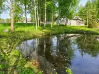 Дом на озере Свирь