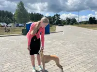 Хендлер в Минске, фотография 6