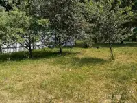 Продам дом в д.Пятевщина, фотография 7