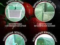 Теплица каркасная росток 6 x 3 x 2 метра (ø -, фотография 3