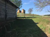 Продается участок с домом, Гродненская область, Зельвенский район, деревня Ивашковичи, фотография 2