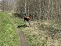 Услуги по вырезке деревьев, фотография 10