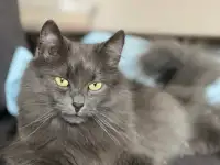 Шикарная Марси