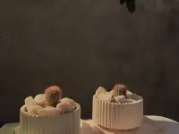 Растения, фотография 11