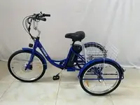 Трехколесный электровелосипед smartbalance fermer, фотография 7