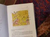 Учебник по анатомии и физиологии для медицинских вузов