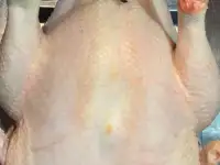 Мясо индейки.