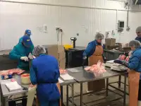 Рабочие на морепродукты (РФ, без опыта), фотография 3
