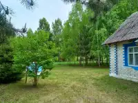 Дом на озере Свирь, фотография 3