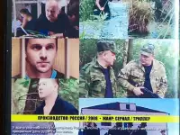 Домашняя коллекция DVD-дисков ЛОТ-56, фотография 5