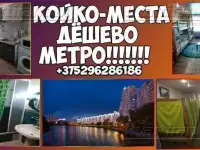Сдаются в самом центре Минска Койко-места.