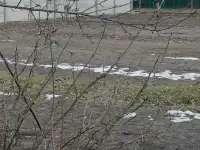 Продаю, Речицкий р-он станция Якимовка, фотография 8