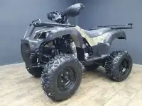 Квадроцикл Avenger Tungus 250cc 4G1, фотография 3