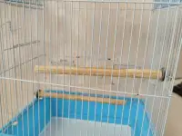 Клетка для попугаев, фотография 2