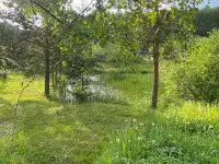 Продажа дачного участка