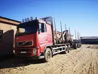 Лесовоз VOLVO FH12 с манипулятором и полуприцепом, фотография 2