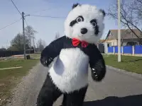 Продам ростовую куклу Панда