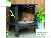 Домики для кошек, фотография 2