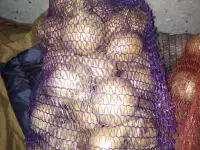 овощи, фотография 2