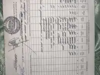 Продается дом не далеко от города Солигорска, 1-й переулок, 44, деревня Беличи, Беличский сельсовет, Слуцкий район, фотография 7