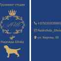 Груминг