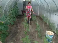 Продажа недвижимости, г гомельской области, фотография 8