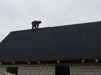 Кровельные работы.Скидки, фотография 4