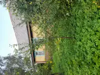 Дом дача, Залесовичи, фотография 2