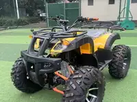 Электроквадроцикл storm grand 4x4, фотография 2
