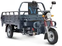 Грузовой электротрицикл rutrike титан 2000 60v1500w