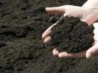 Продам чернозем дешево с доставкой
