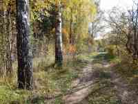 Продам дачу в хорошем районе, Станция Железнодорожник, фотография 2