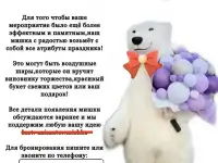 Мишка Балу