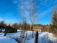 Продажа участка, Деревья Беларучи, фотография 2