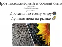 Шрот подсолнечный и соевый оптом от производителя ГК Юг Руси