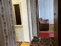 Кирпичный дом со всеми удобствами, Гомельская обл, Добрушский р-н, фотография 8