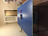Сдам в аренду теннисный стол, фотография 1