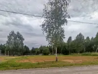 СТ Плянта-9, Участок подготовленный под строительство, фотография 2