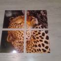 Модульные картины, фотография 3