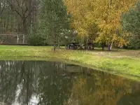 Продаю участок с домом, фотография 9