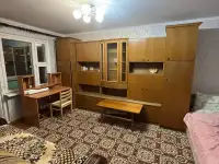 Аренда, Каштановая, фотография 2