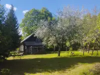 Бревенчатый дом в лесу у ручья деревни Сусловка, фотография 3