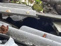 Котята нужен дом срочно помогите, фотография 3